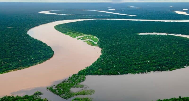 Floresta amazônica cortada por dois rios: um de águas barrentas e outro de águas negra