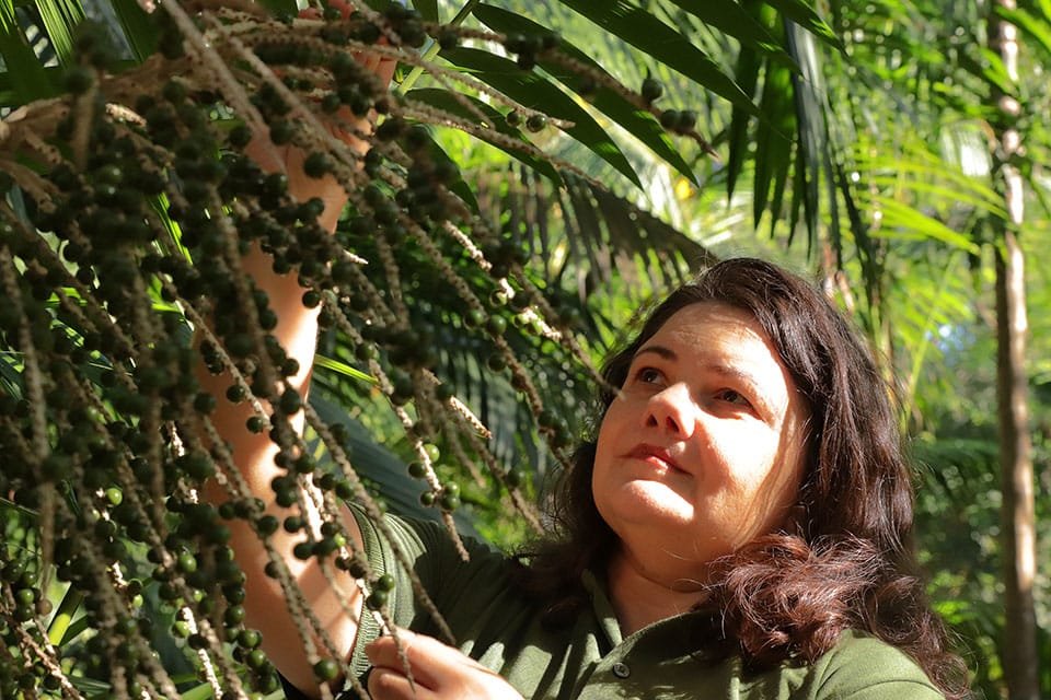 mulher olhando e tocando um cacho de açaí no pe