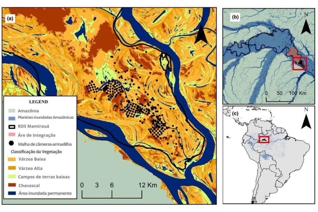 mapa com recortes da região da RDS Mamirauá no amazonas