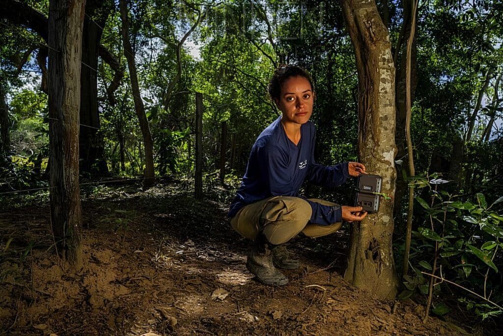 mulher agachada no meio da floresta instalando uma câmera-armadilha para fotografar animais