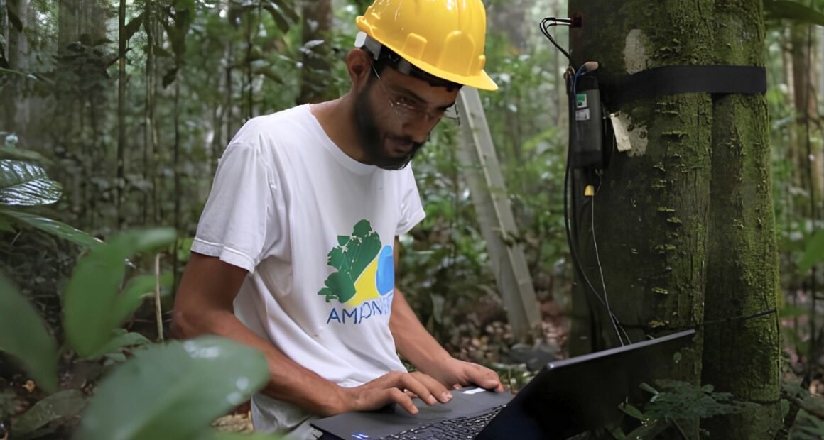 homem de capacete amarelo sentado no meio da floresta com um notebook no colo