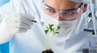 cientista manipulando planta